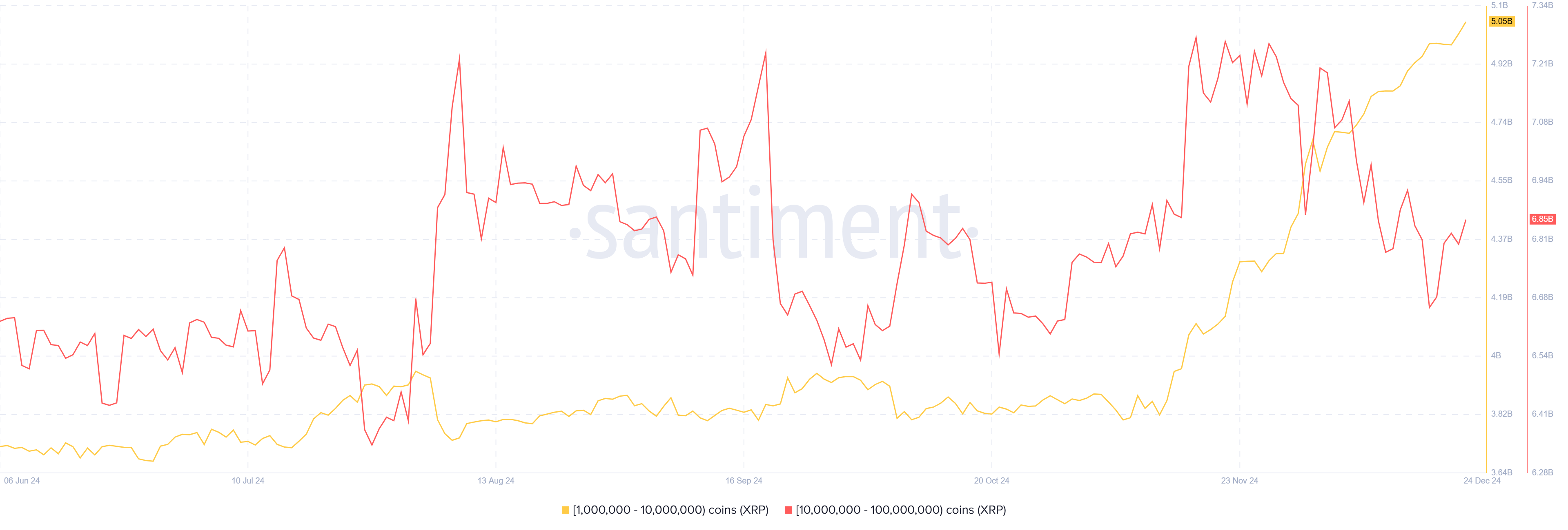 XRP Supply Distribution